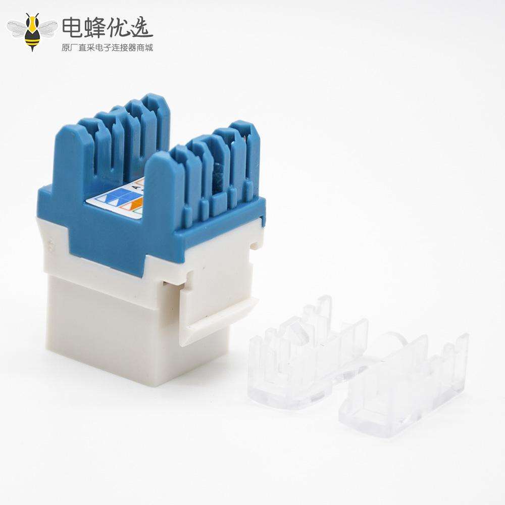 RJ45插座六类线材梯形插孔双IDC类型直式不带屏蔽网络模块